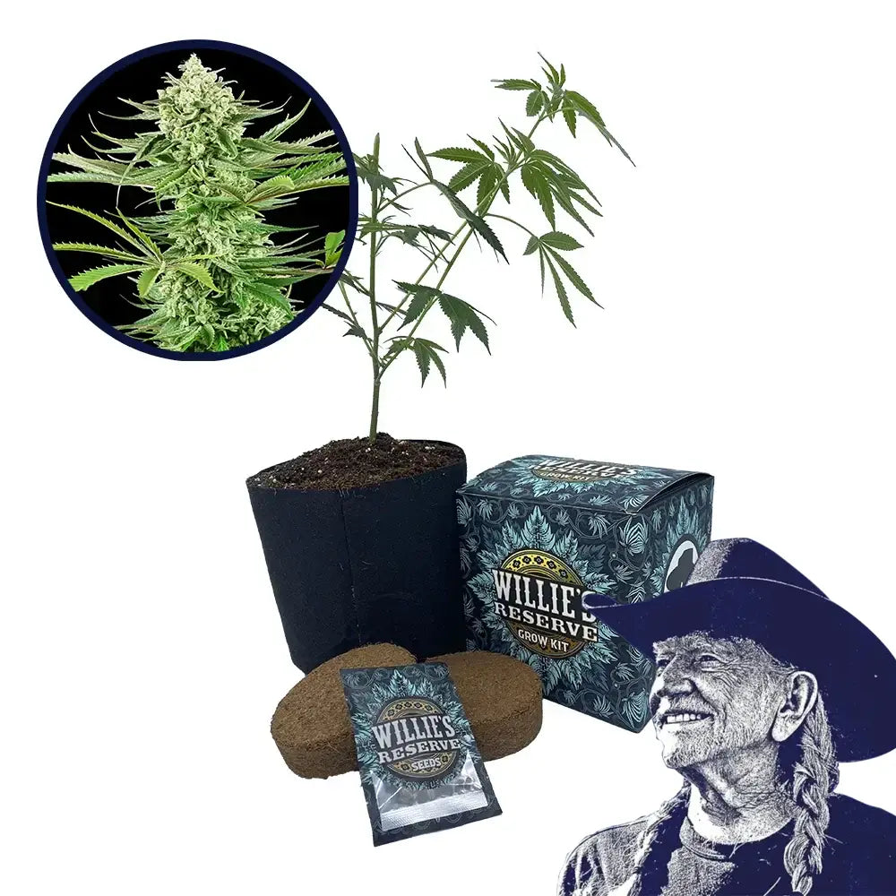 Malibu OG Strain High Yield Grow Kit