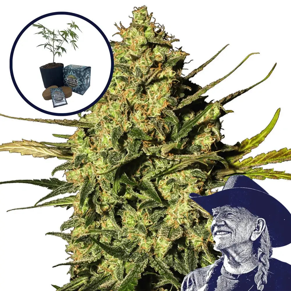Master OG High Yield Grow Kit