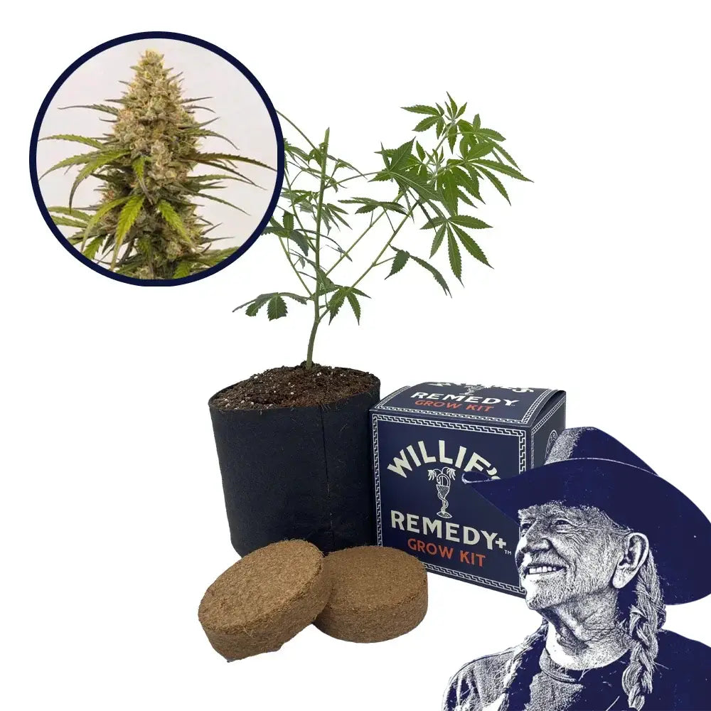 Melonade Strain Grow Kit