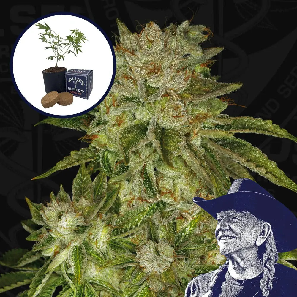 MK Ultra Grow Kit