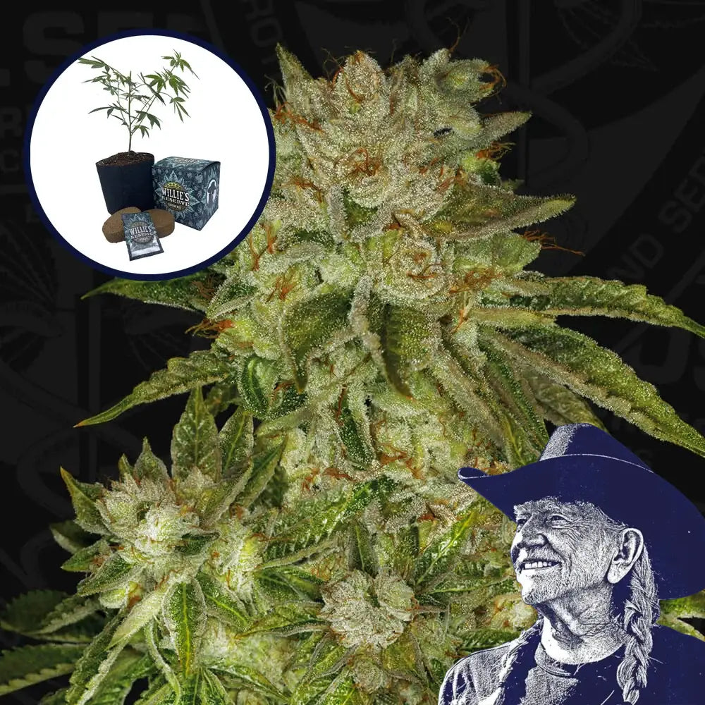 MK Ultra High Yield Grow Kit