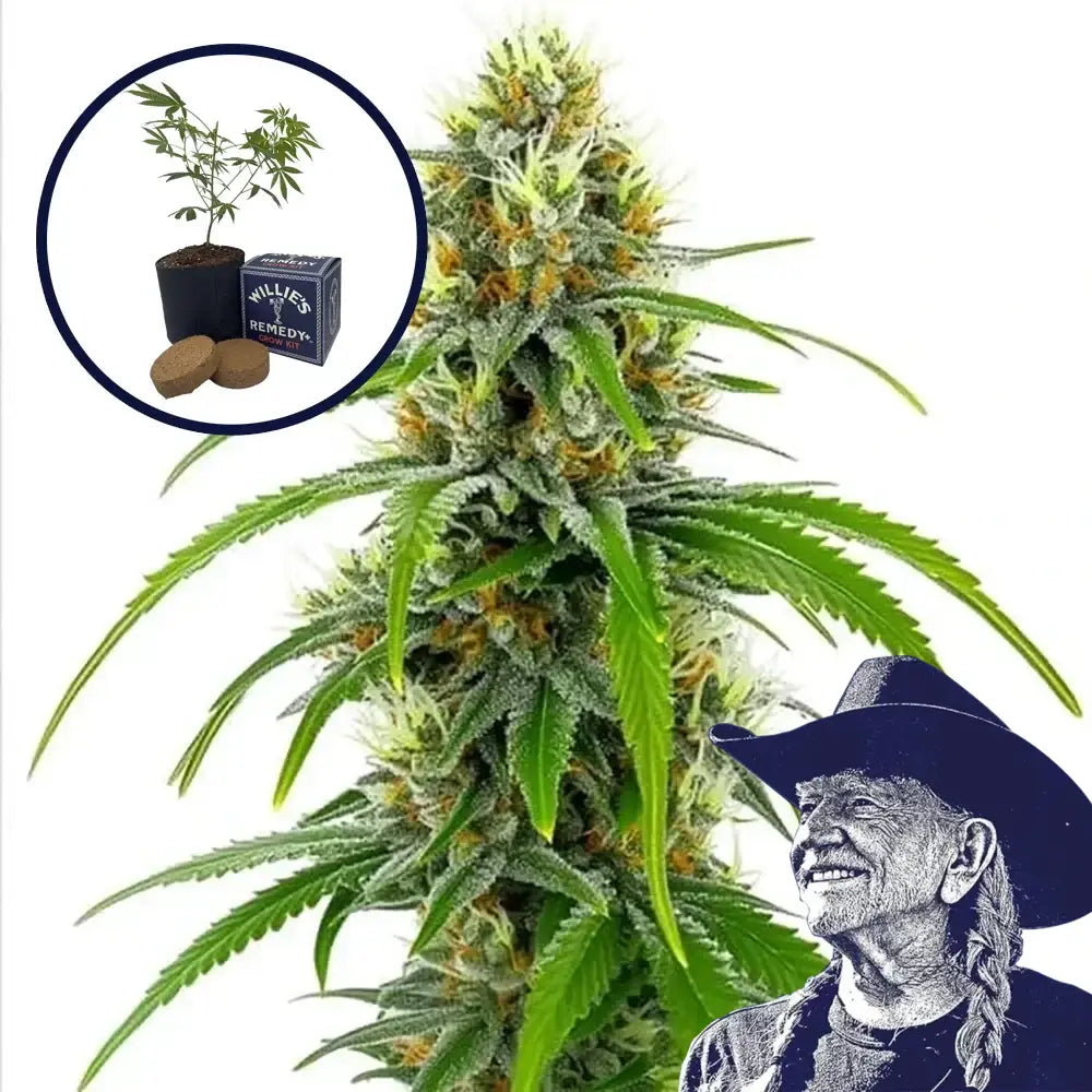 Moby Dick Grow Kit