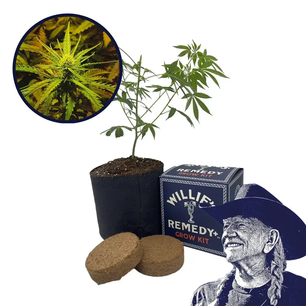 NYC Diesel Strain Grow Kit