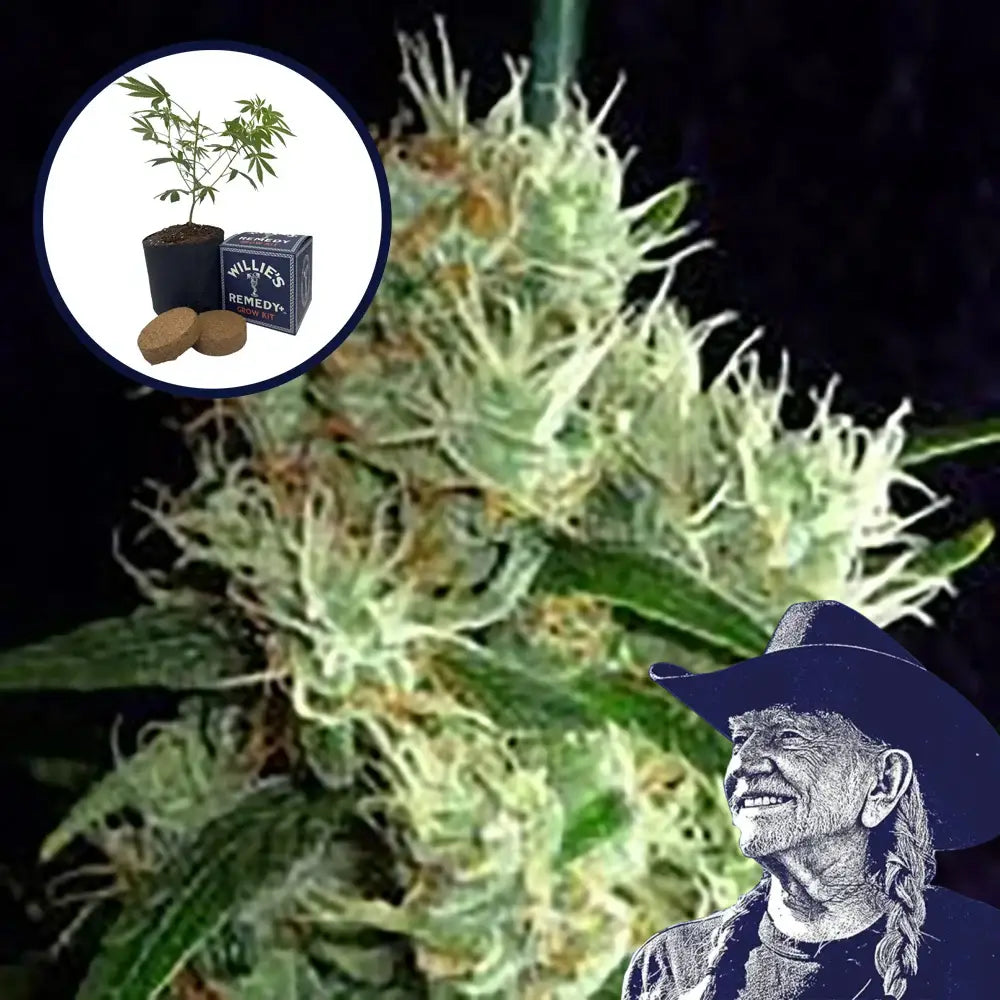 Outer Space Grow Kit