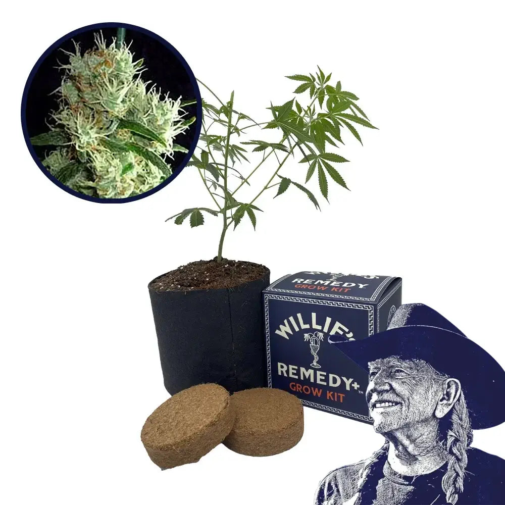 Outer Space Strain Grow Kit