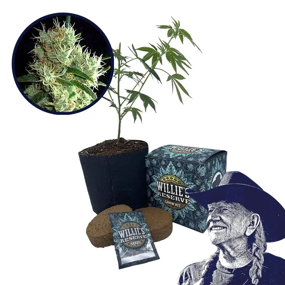 Outer Space Strain High Yield Grow Kit