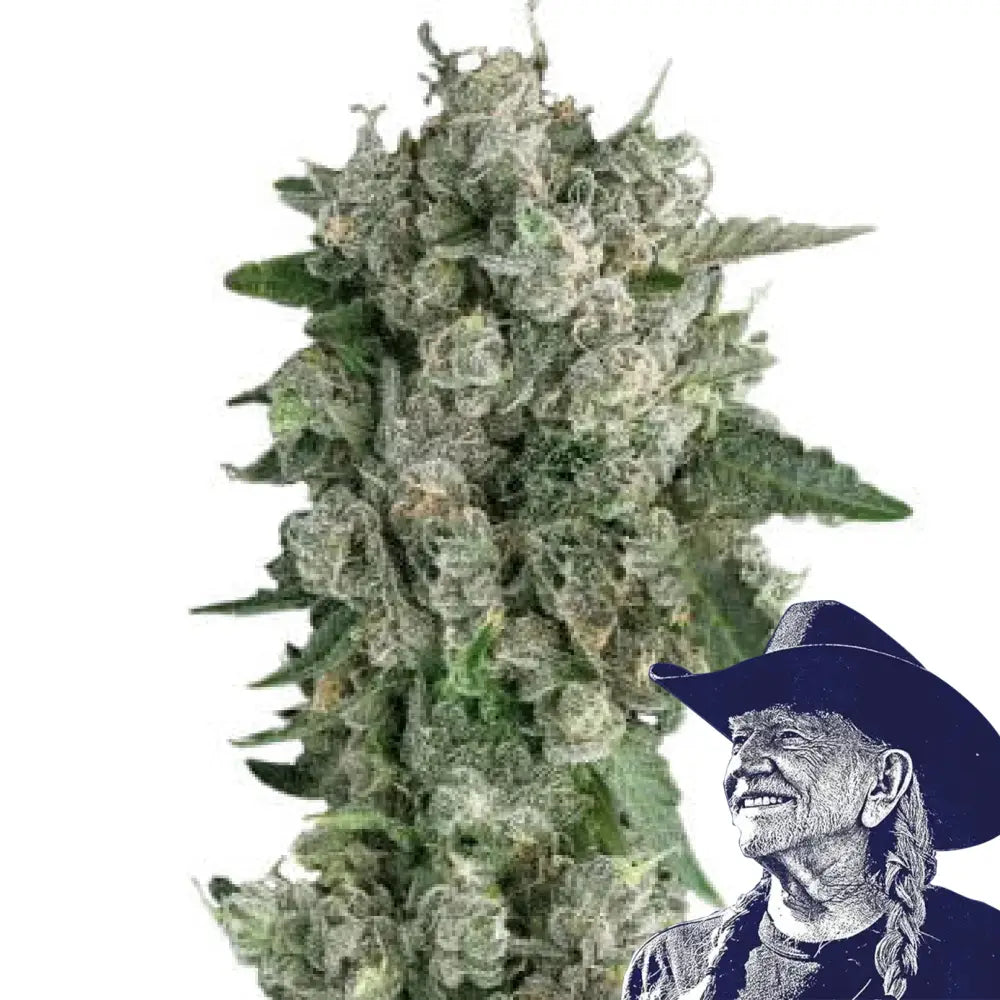 Peanut Butter Breath