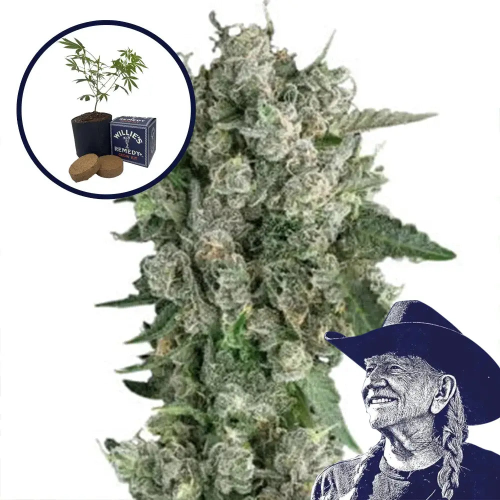Peanut Butter Breath Grow Kit