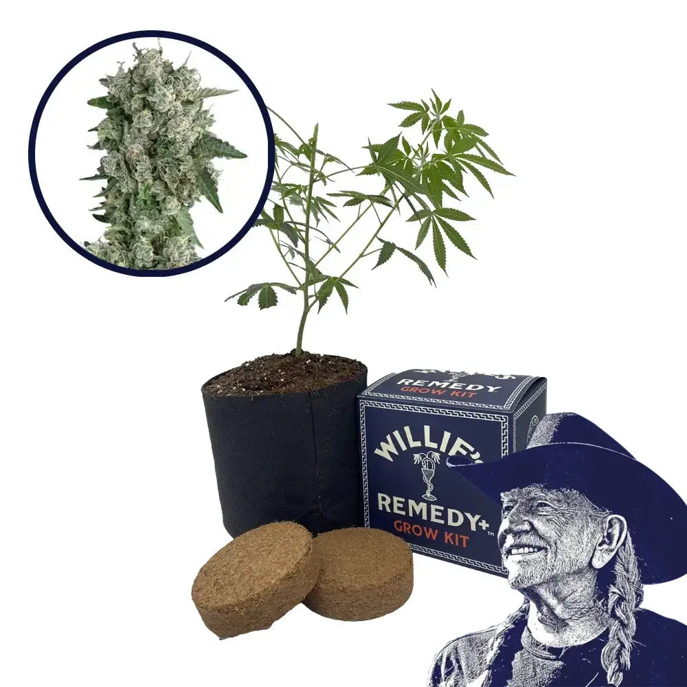 Peanut Butter Breath Strain Grow Kit