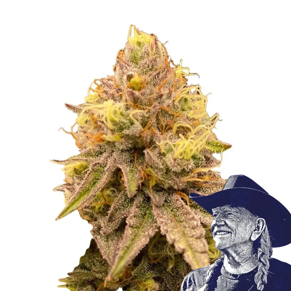 Pineapple Express