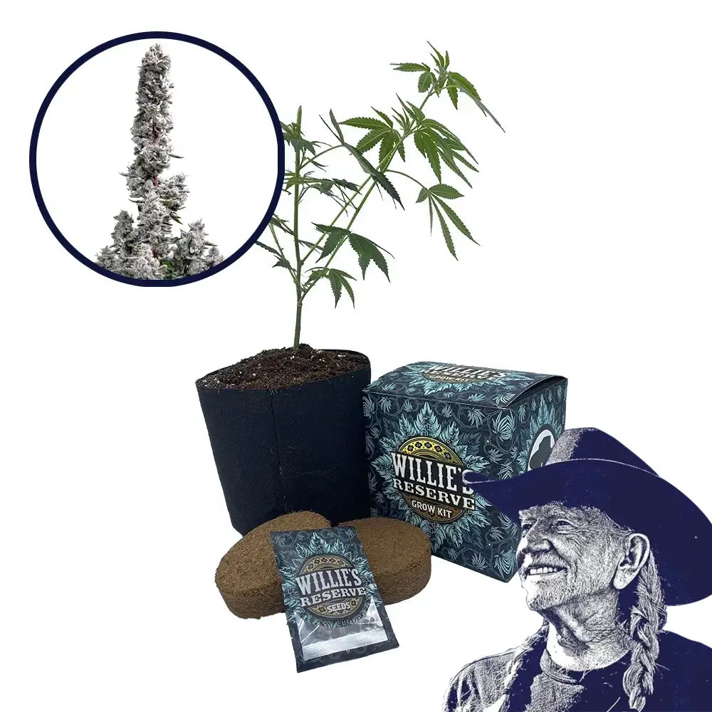 Pink Wasabi Strain High Yield Grow Kit