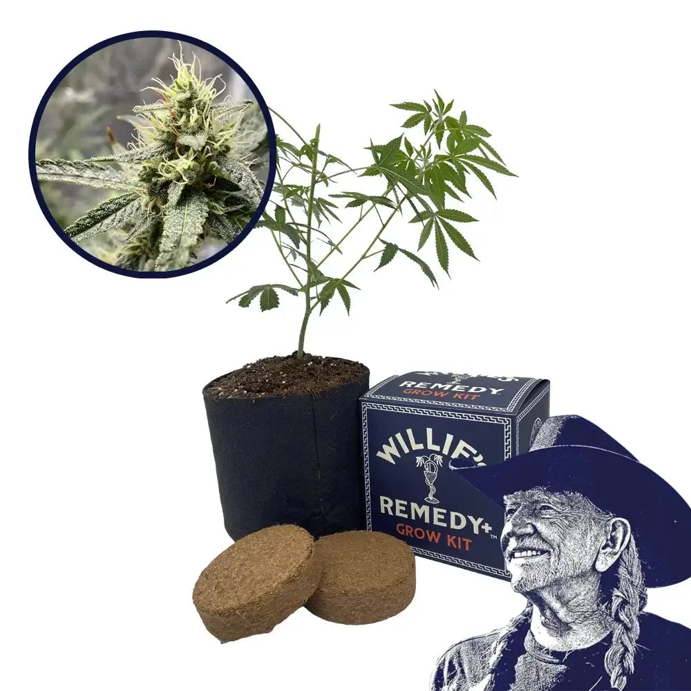 Platinum Cookies Strain Grow Kit