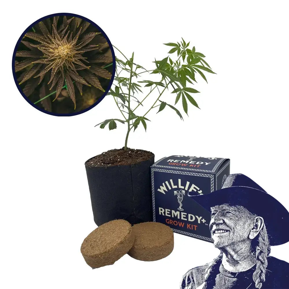Platinum OG Strain Grow Kit