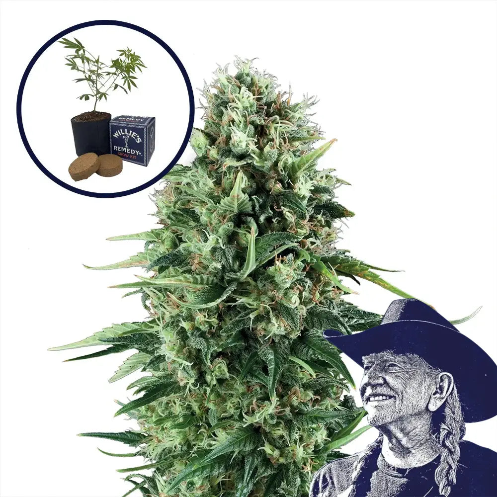 Power Plant Grow Kit