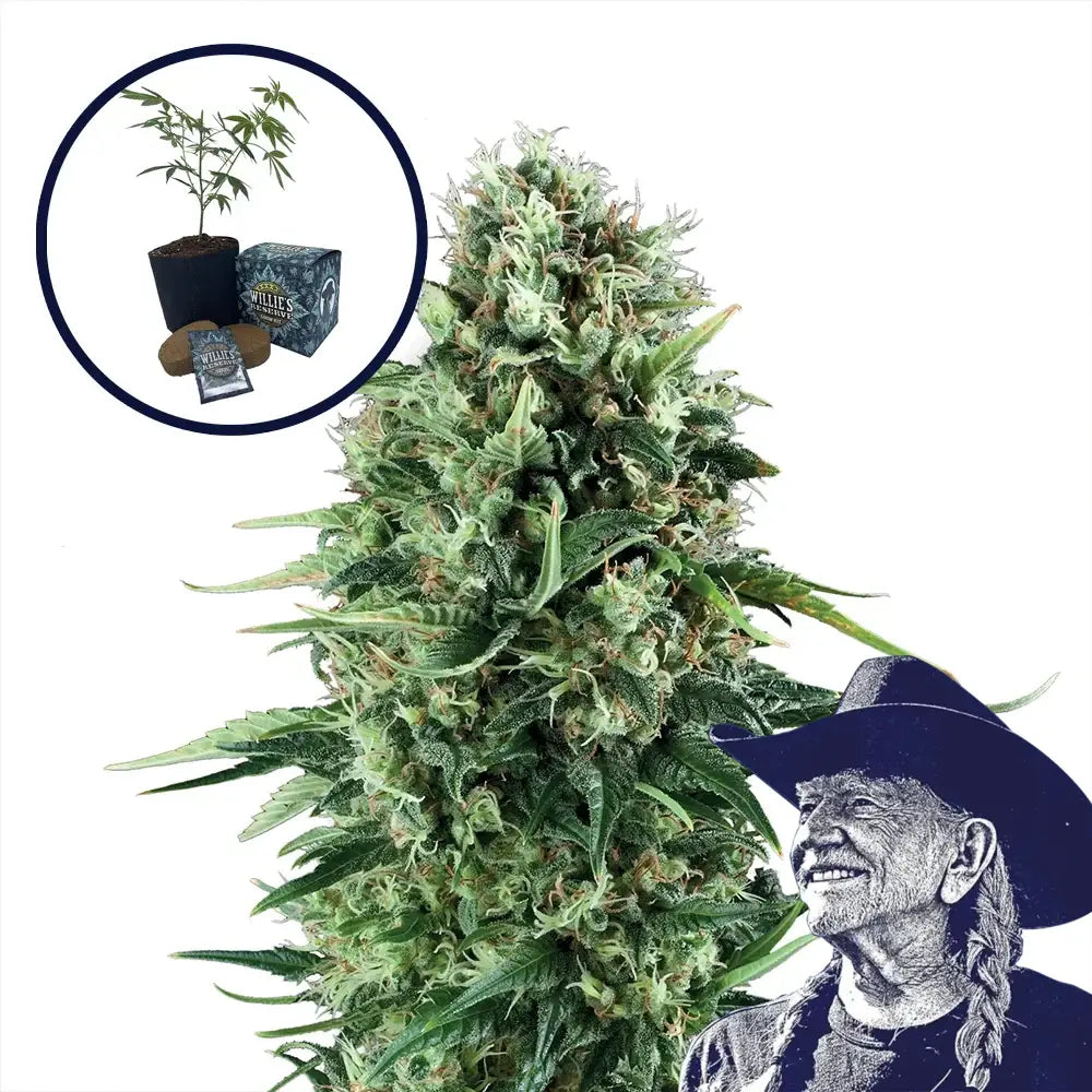 Power Plant High Yield Grow Kit
