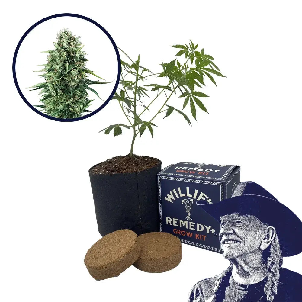 Power Plant Strain Grow Kit