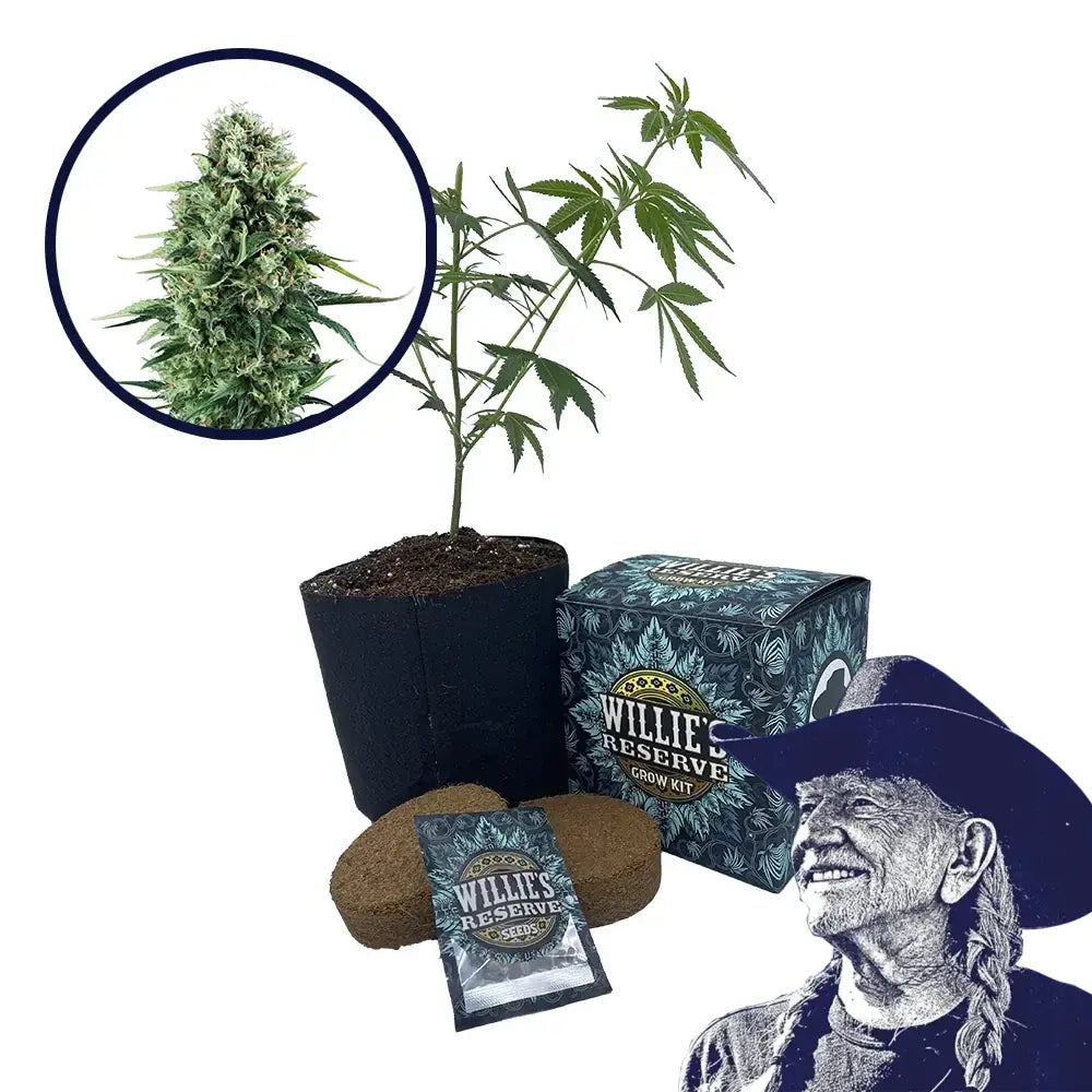 Power Plant Strain High Yield Grow Kit