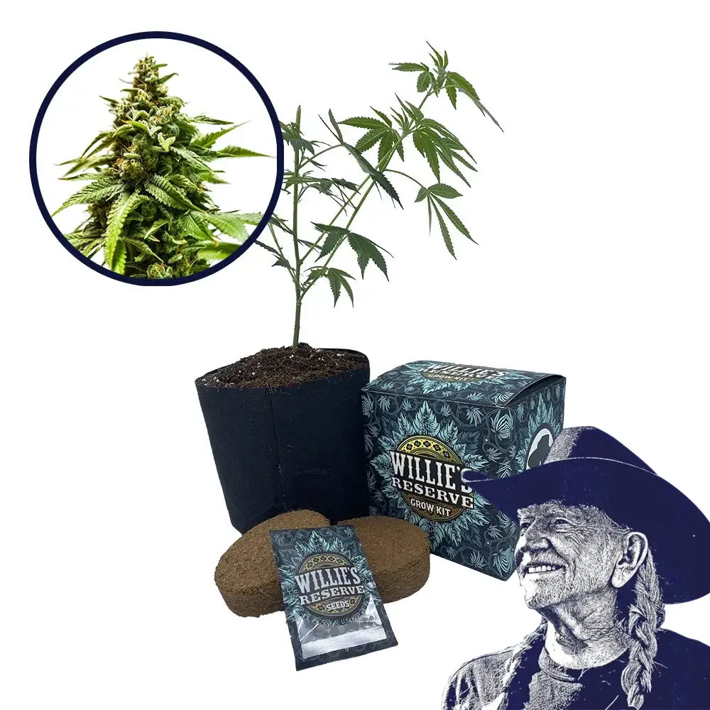Power Punch Strain High Yield Grow Kit