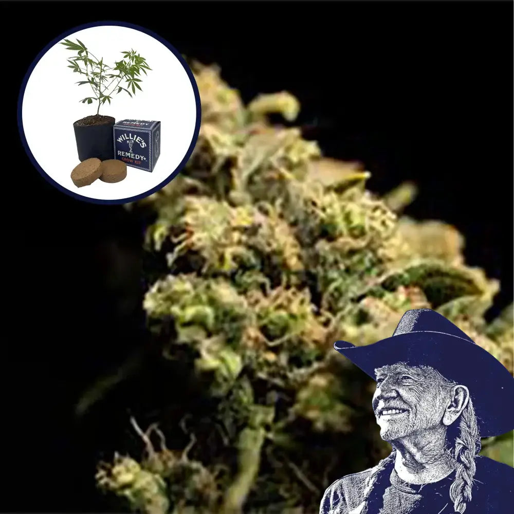 Pura Vida Grow Kit