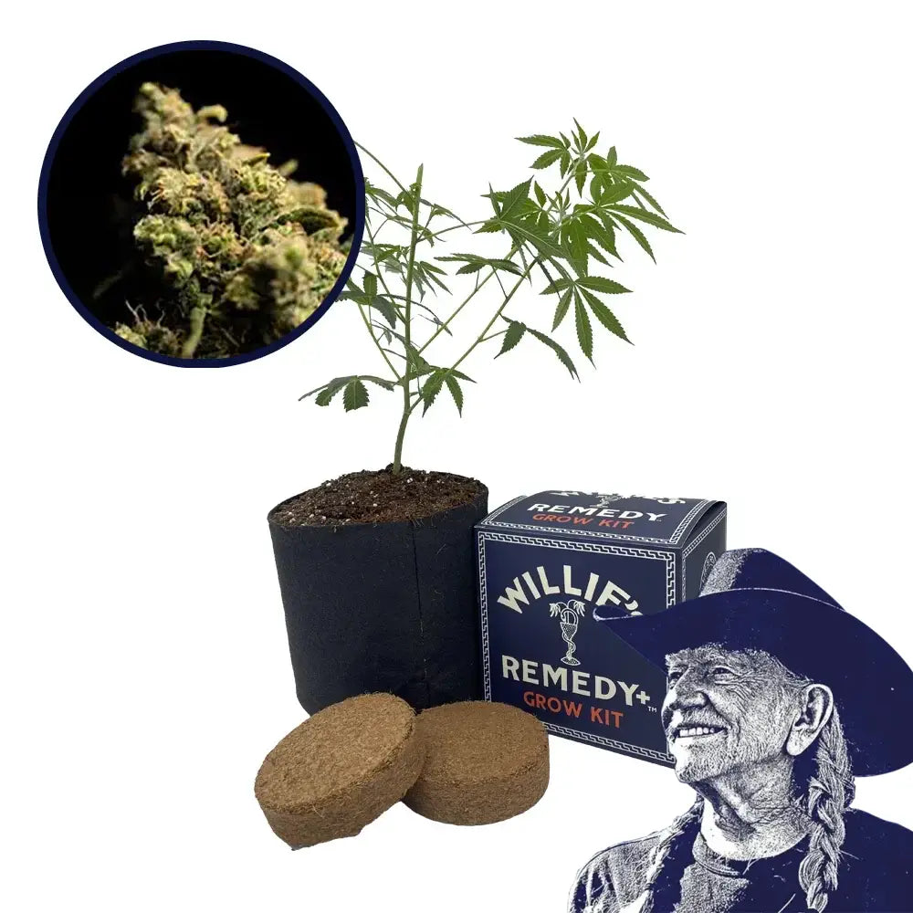 Pura Vida Strain Grow Kit