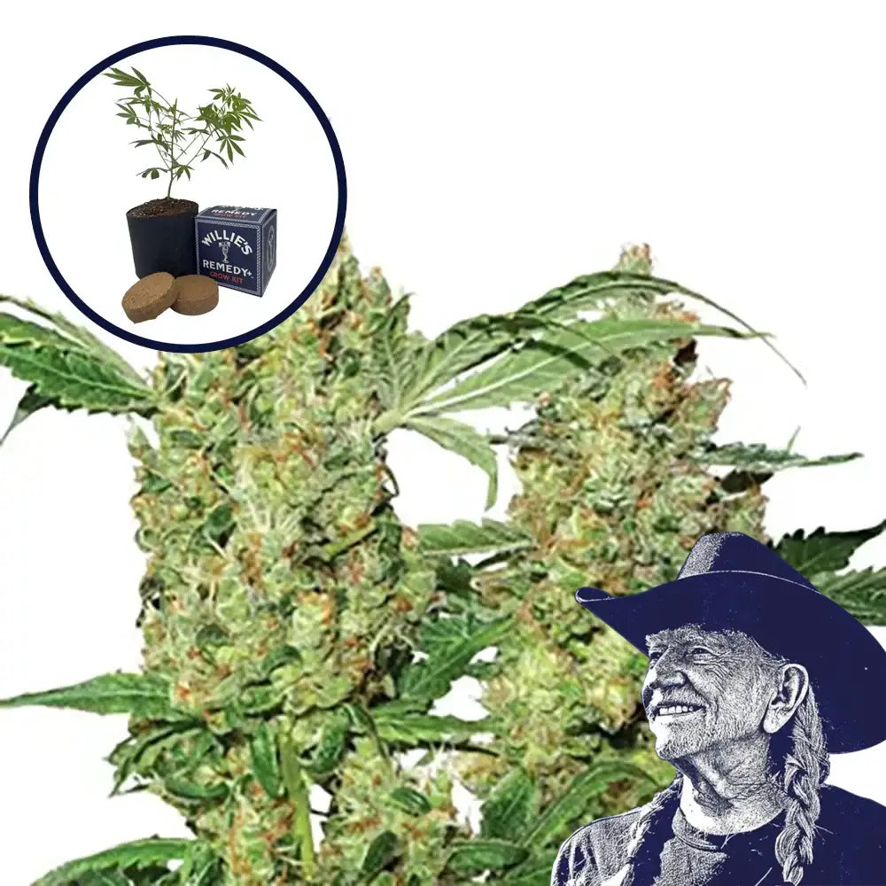 Pure Power OG Grow Kit