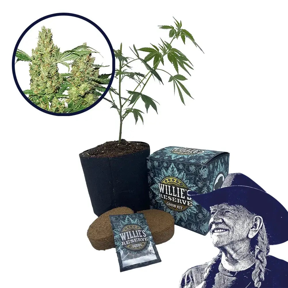 Pure Power OG Strain High Yield Grow Kit