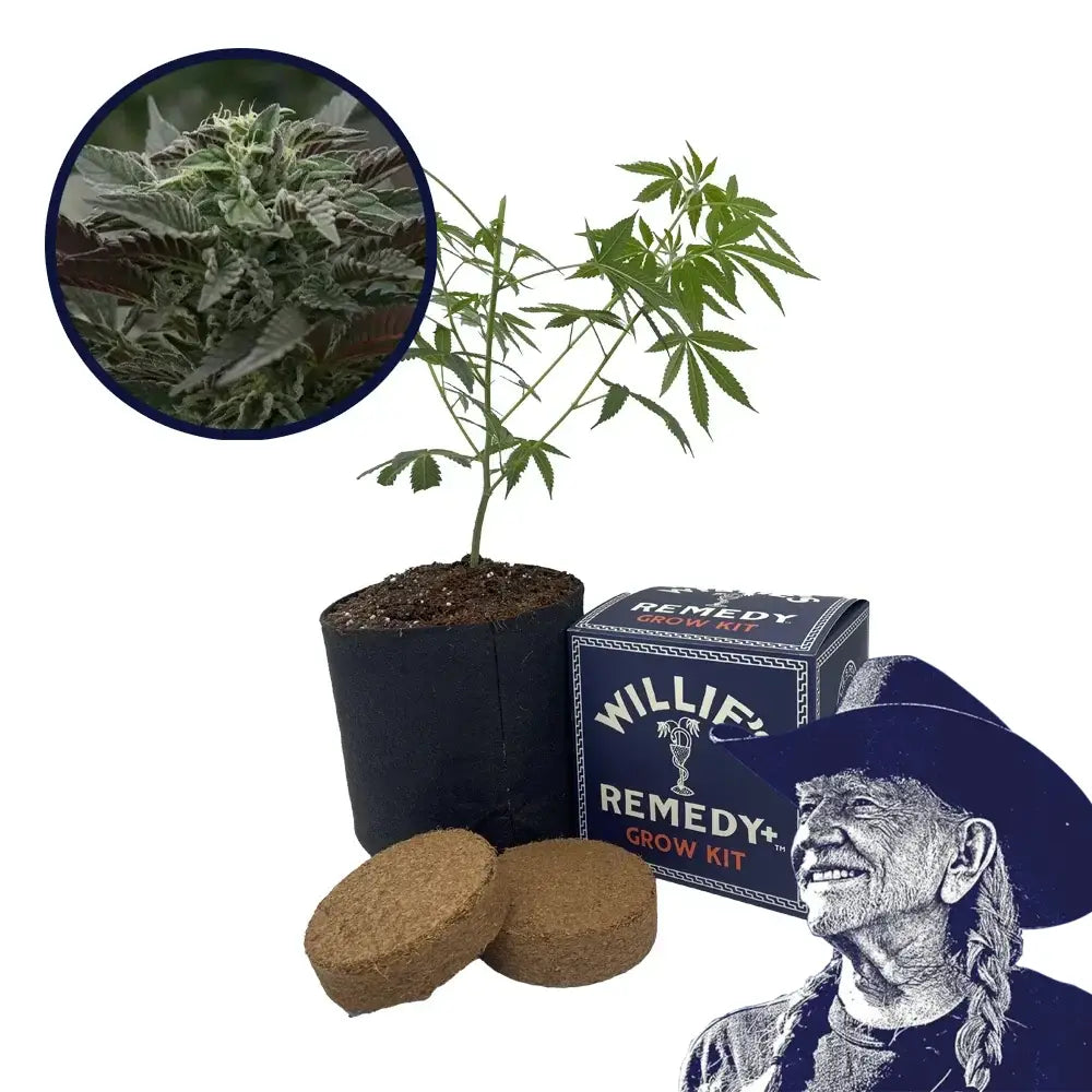 Purple Urkle Strain Grow Kit