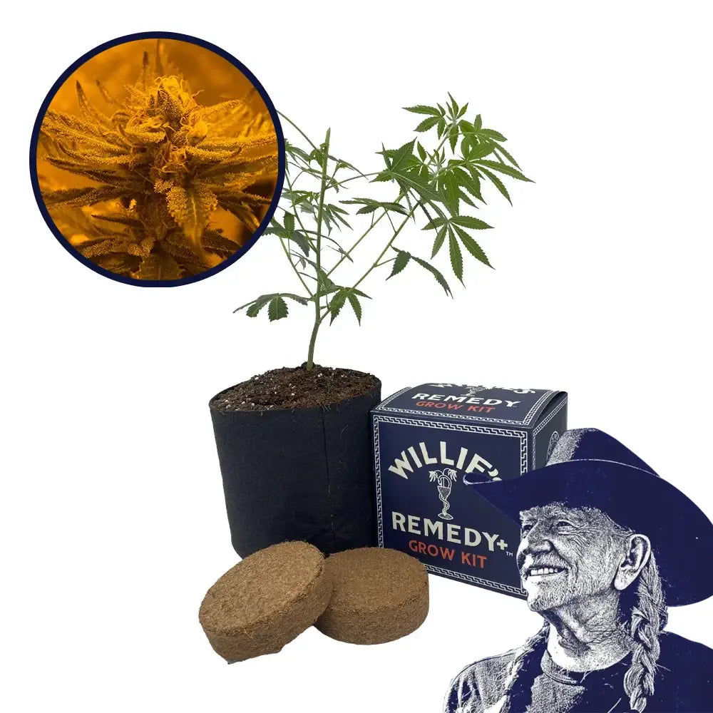 Rainbow Belts Strain Grow Kit