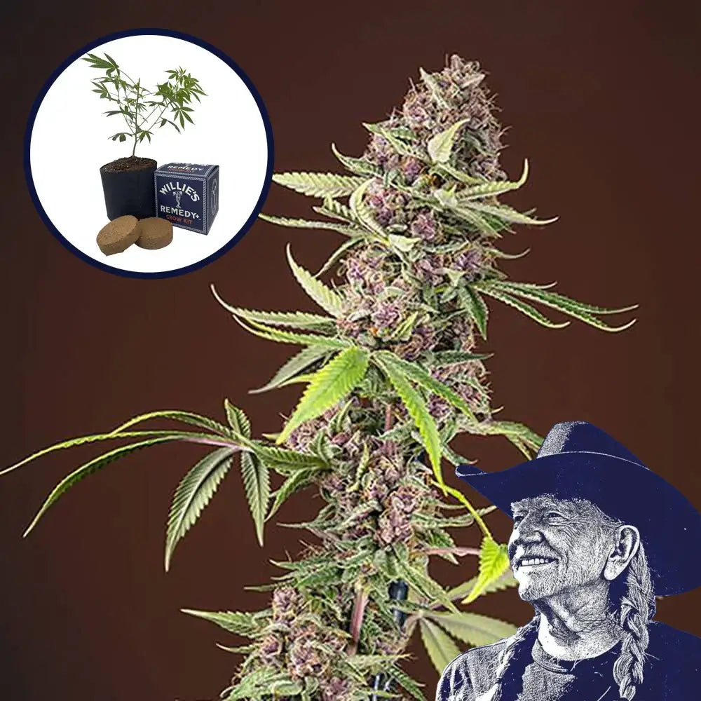 Red Mandarine Grow Kit