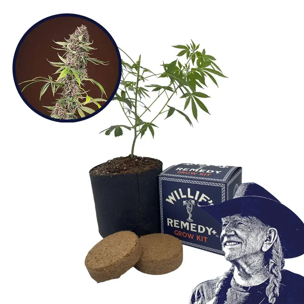 Red Mandarine Strain Grow Kit