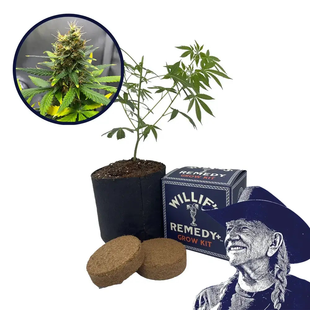 SFV OG Strain Grow Kit