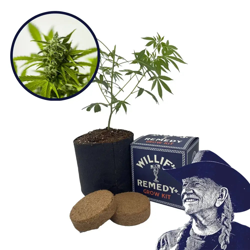 Skunk 1 Strain Grow Kit