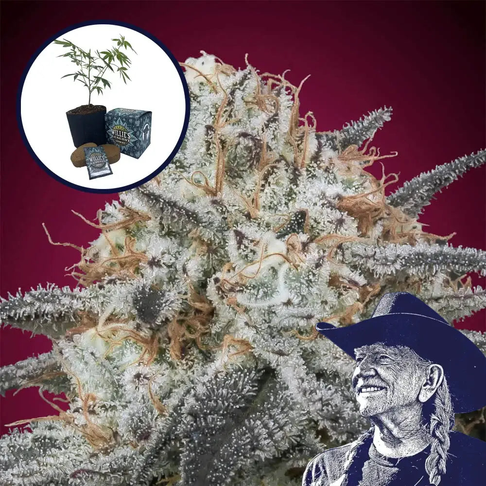 Slurricane High Yield Grow Kit