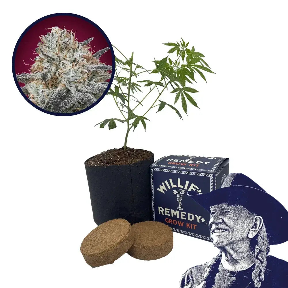 Slurricane Strain Grow Kit