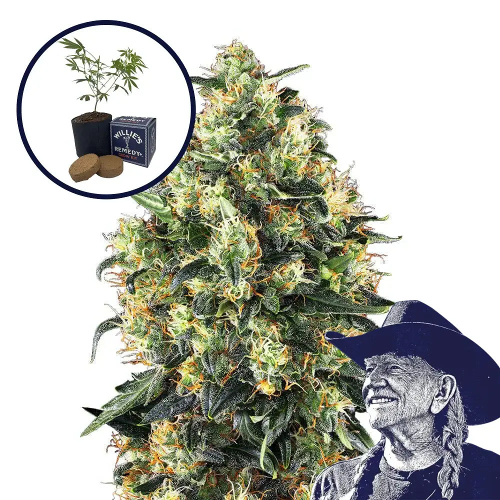 Super Skunk Grow Kit