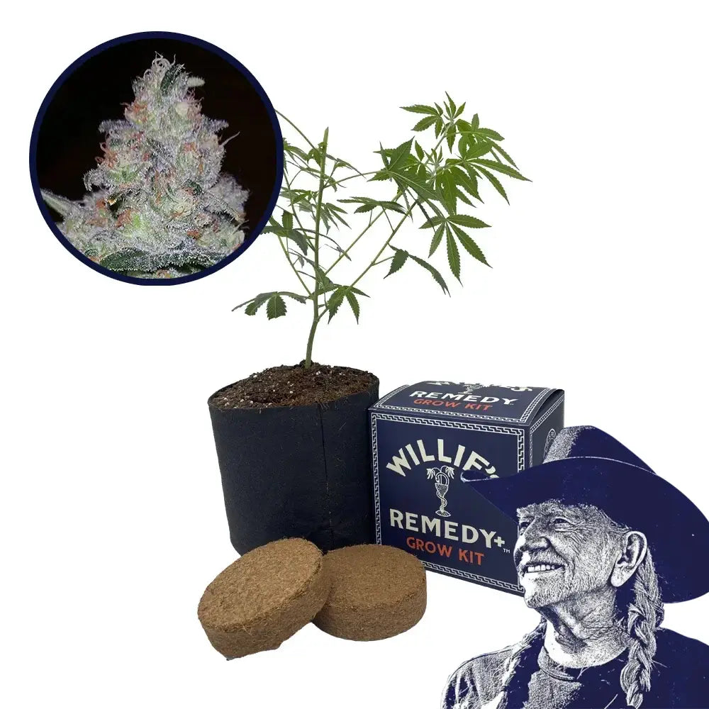 Supernova Strain Grow Kit