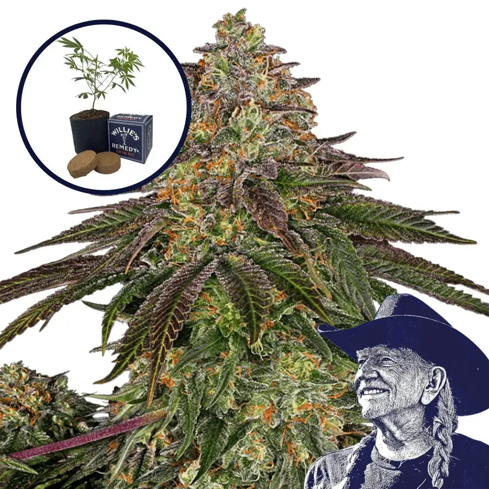 Sweet Kush Grow Kit