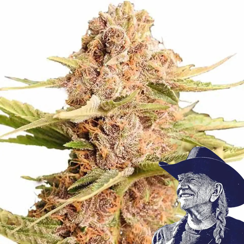 THCA Girl Scout Cookie