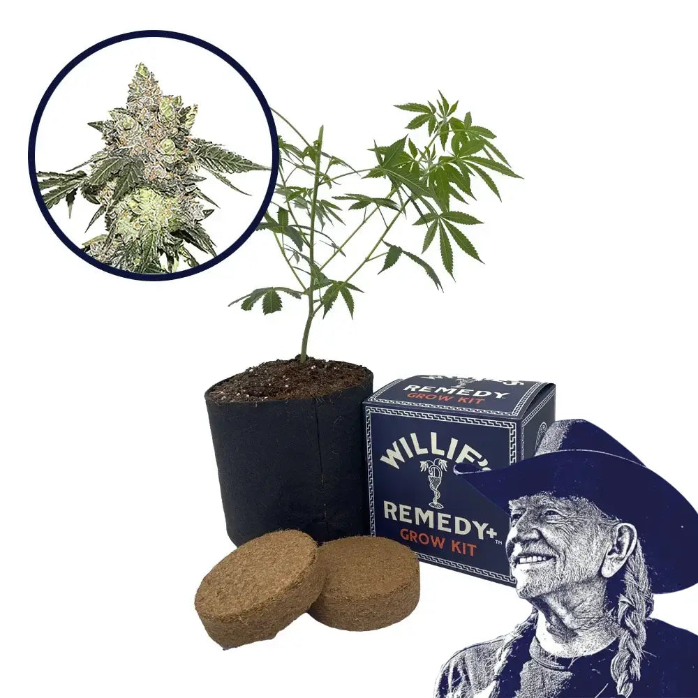 Thin Mint Cookies Strain Grow Kit
