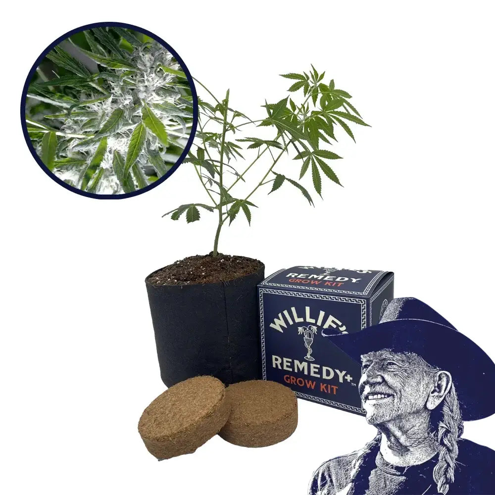 Trainwreck Strain Grow Kit