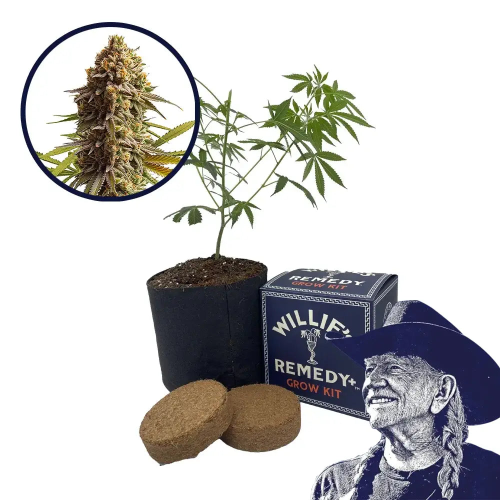 Wedding Cake Strain Grow Kit