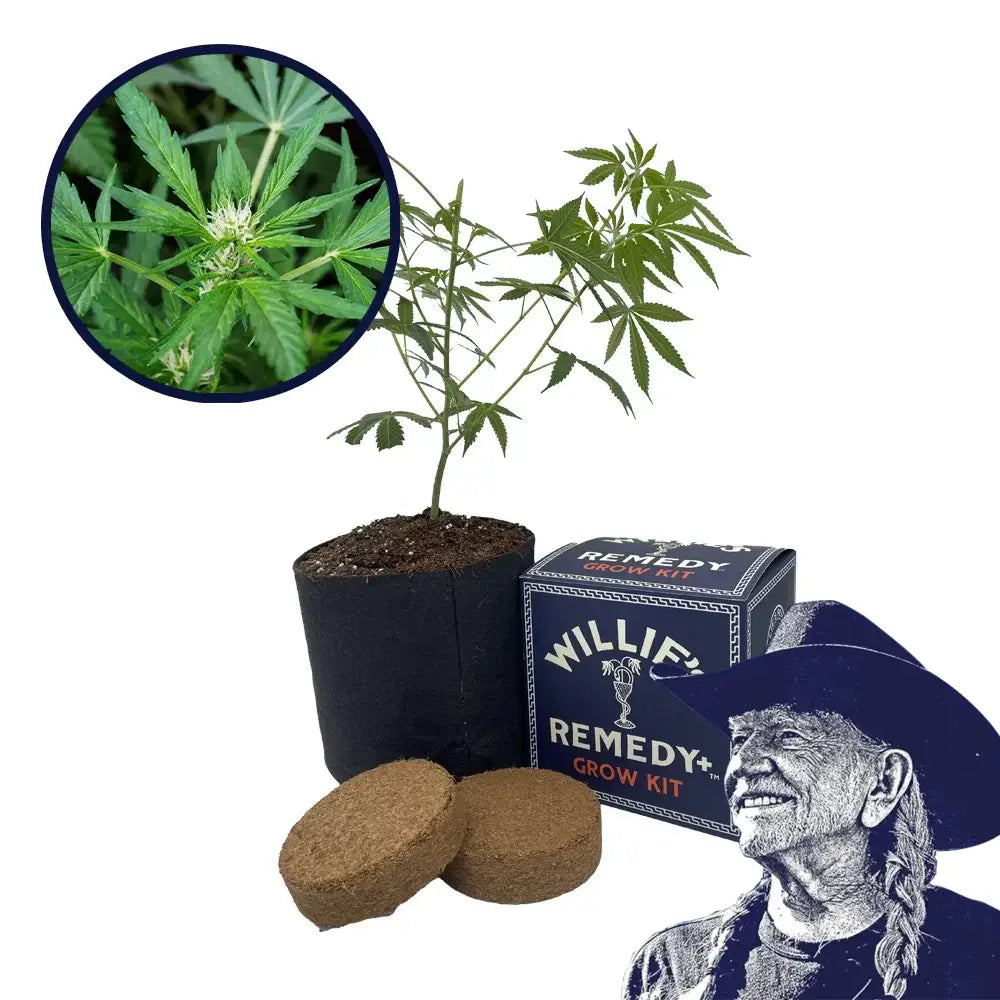 White Fire OG Strain Grow Kit