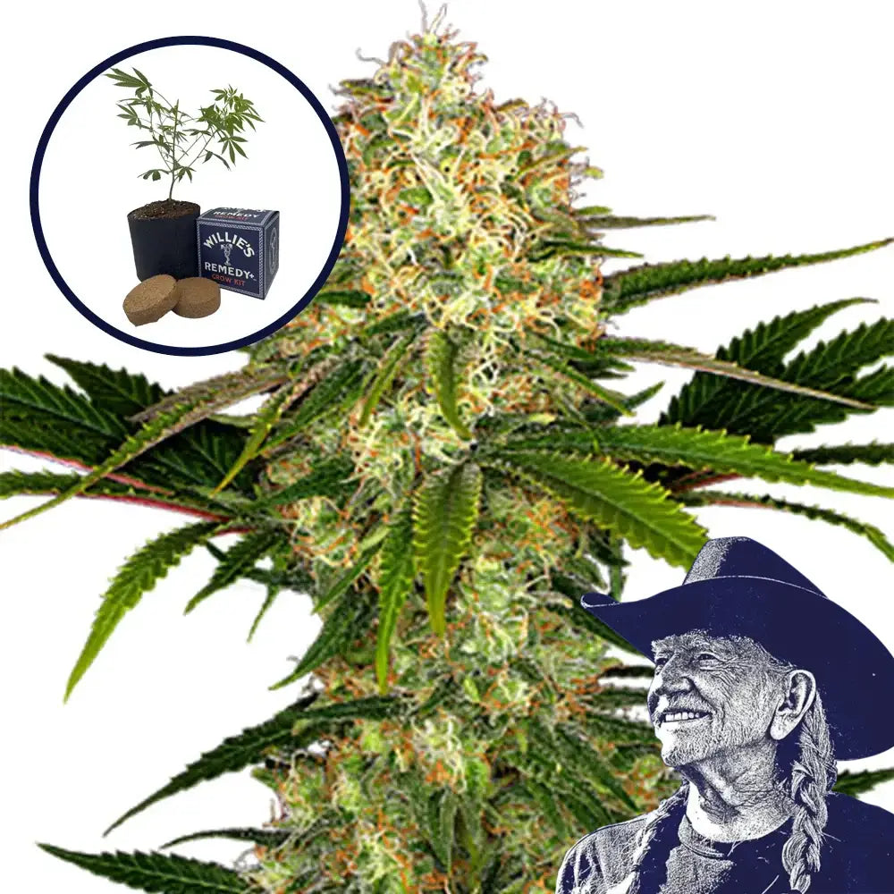 White Ice Grow Kit