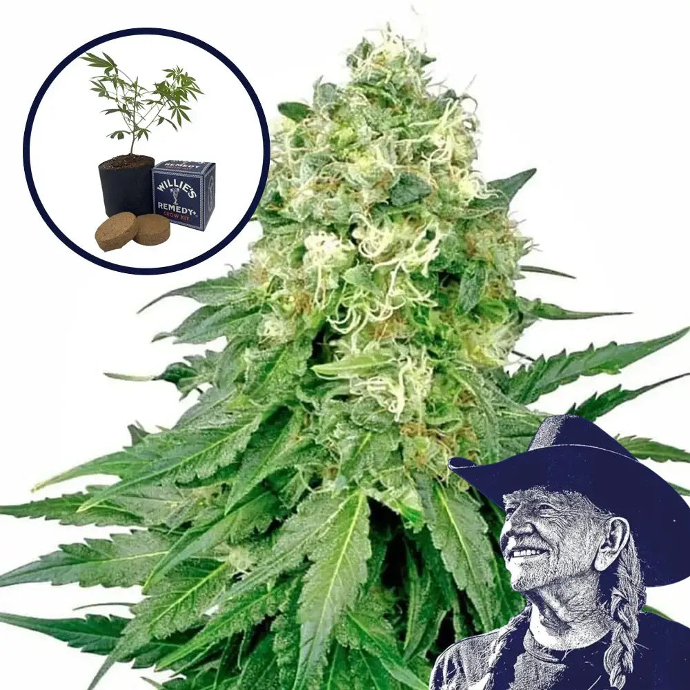 White Rhino Grow Kit