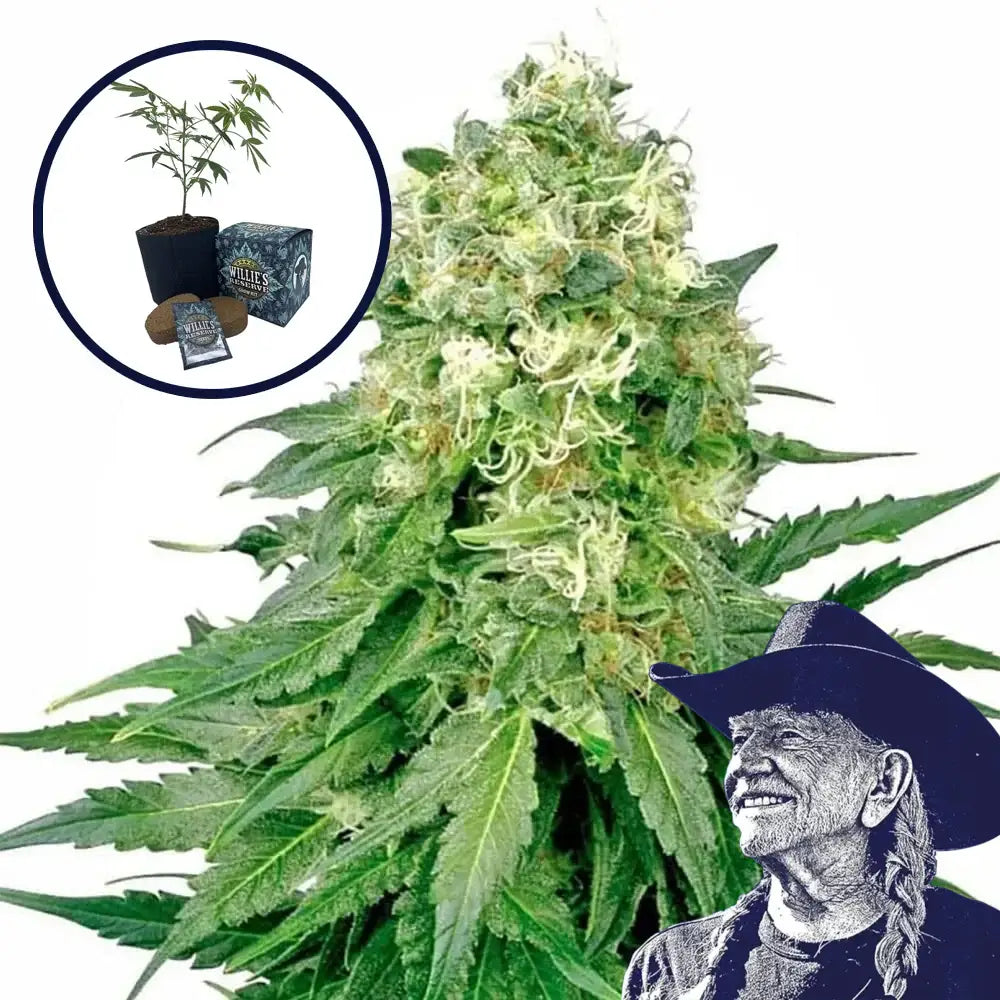 White Rhino High Yield Grow Kit
