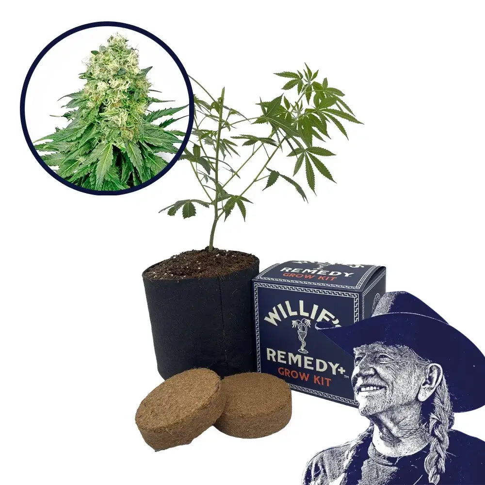 White Rhino Strain Grow Kit