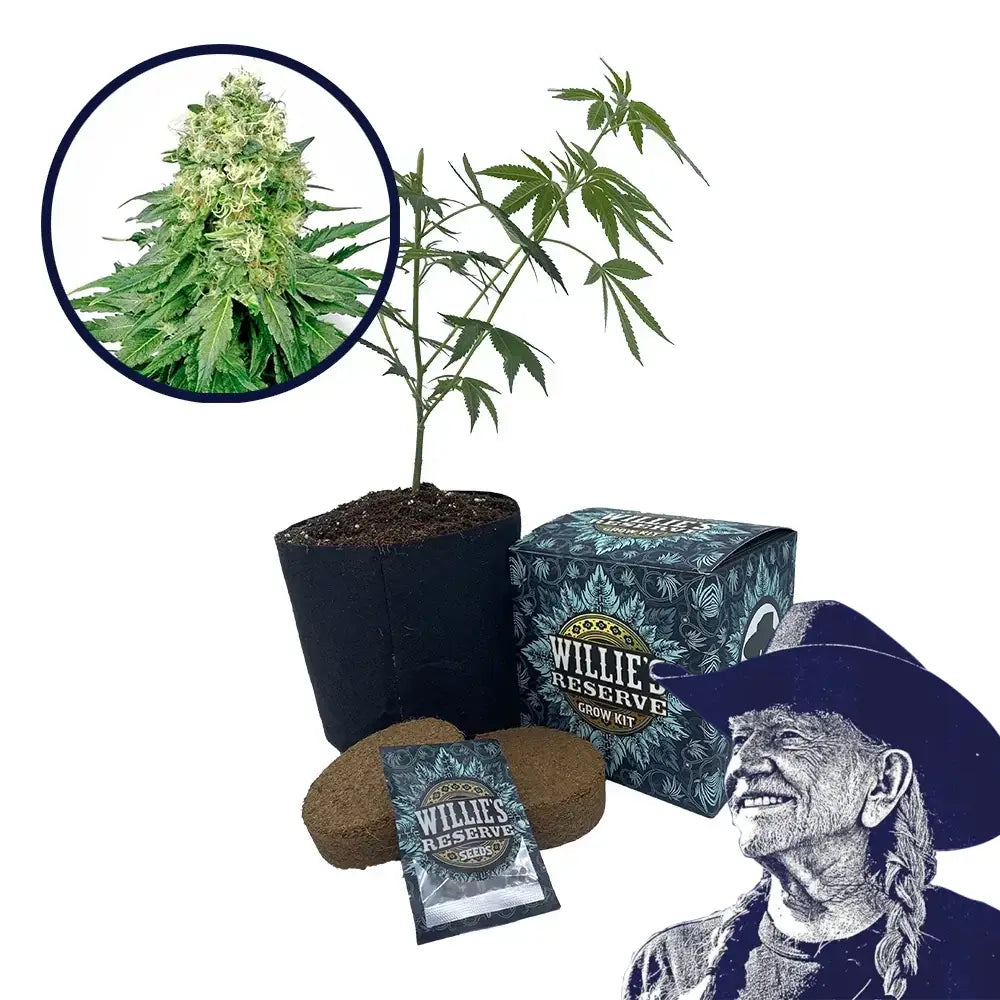 White Rhino Strain High Yield Grow Kit