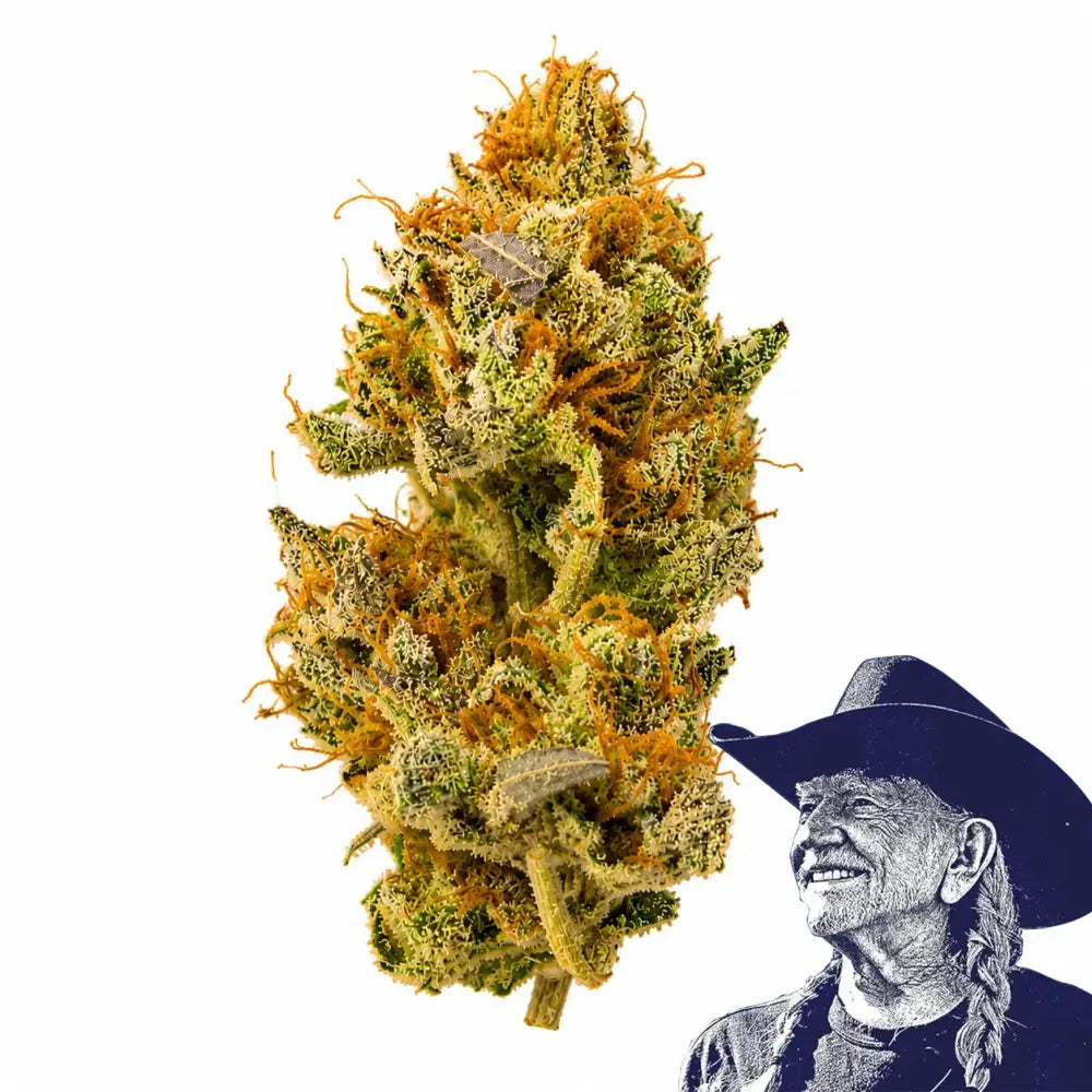 White Widow