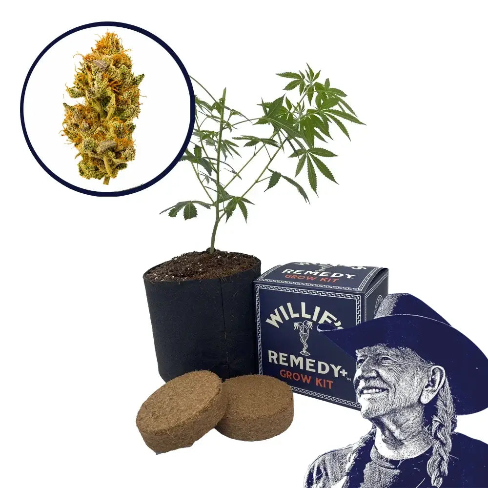 White Widow Strain Grow Kit