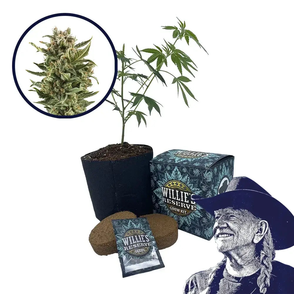 White Widow Strain High Yield Grow Kit